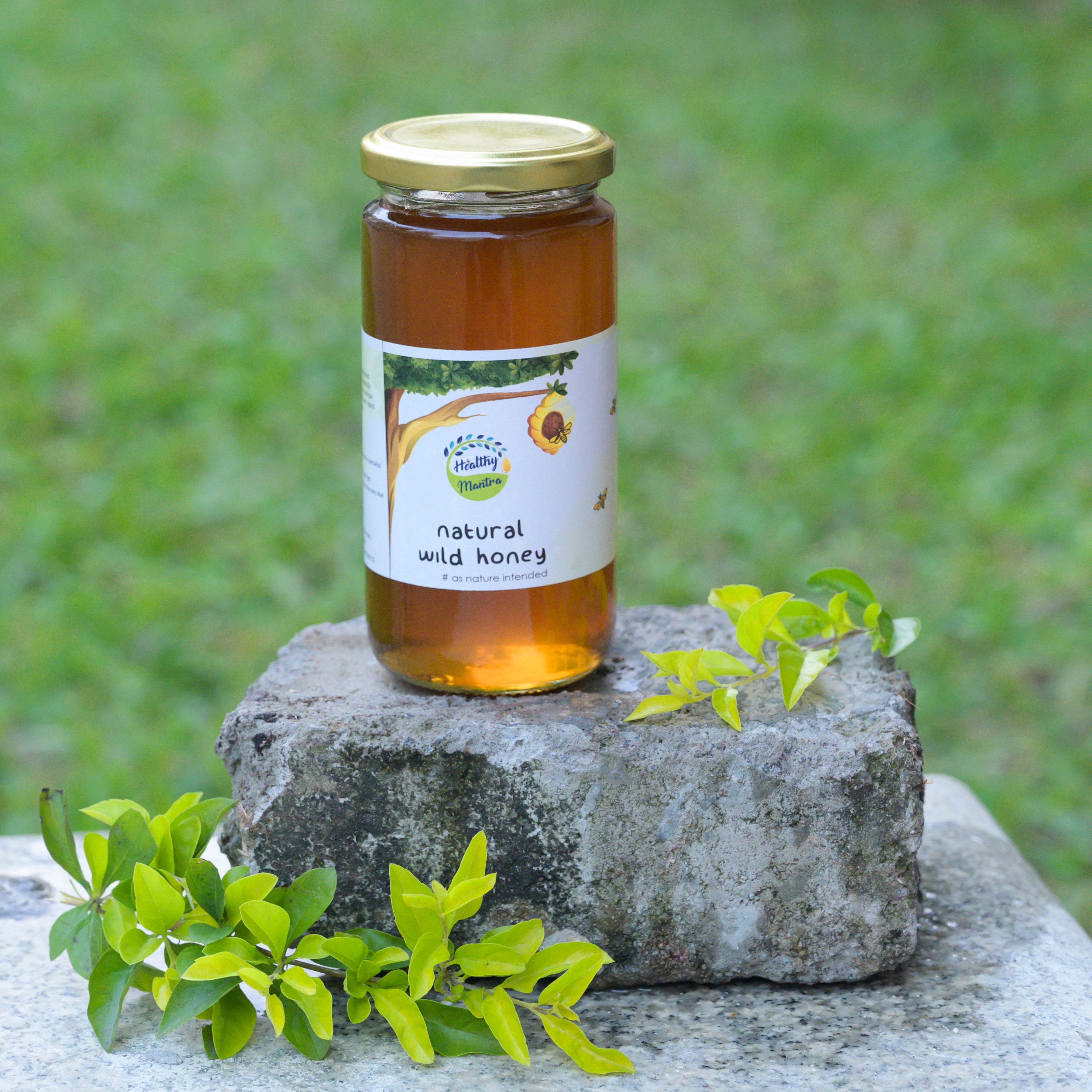 Natural Raw Honey - Wild