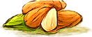 Almond oil