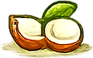 Virgin coconut oil