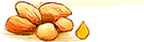 Niger seed oil
