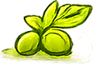 Olive oil