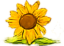 Sunflower oil